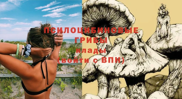 хмурый Абдулино