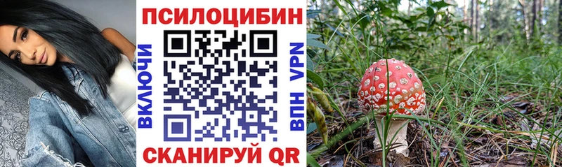 Галлюциногенные грибы ЛСД  продажа наркотиков  Троицк 