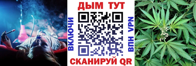 Конопля сатива Троицк